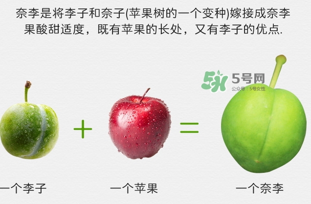 月經(jīng)期間可以吃奈李嗎？來(lái)月經(jīng)可以吃奈李嗎