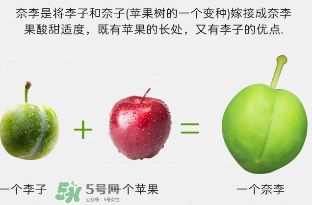 寶寶可以吃奈李嗎？寶寶多大可以吃奈李