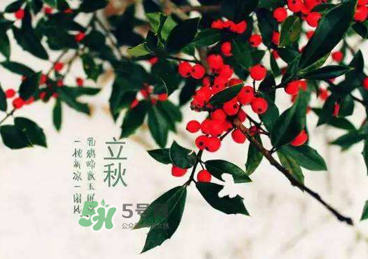 立秋為什么在處暑前？為什么立秋早過(guò)處暑？