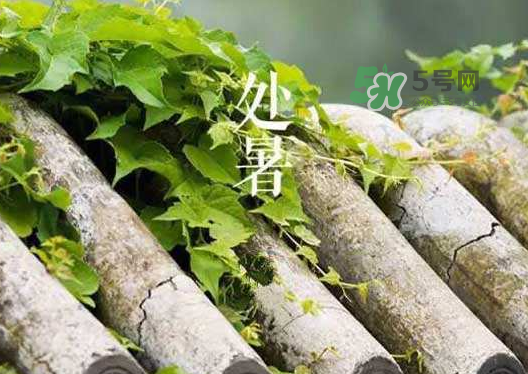 立秋為什么在處暑前？為什么立秋早過(guò)處暑？