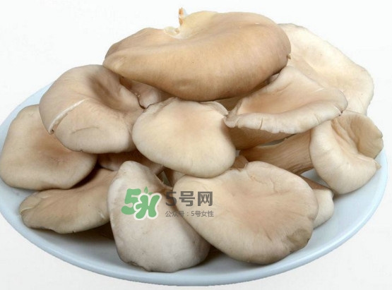 秀珍菇可以和海帶一起吃嗎？海帶能和秀珍菇一起吃嗎