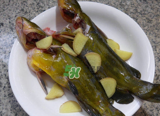 黃刺魚幾月份最好釣？黃刺魚怎么釣