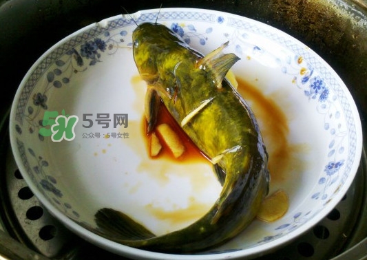 黃刺魚(yú)怎么殺？黃刺魚(yú)怎么處理