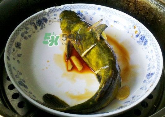黃刺魚死了能吃嗎？黃刺魚不能與什么同食