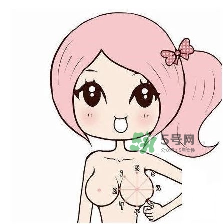 乳貼是什么？乳貼有什么作用？