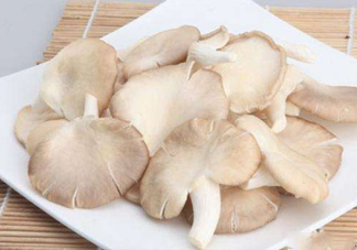 秀珍菇孕婦可以吃嗎？孕婦能吃秀珍菇嗎