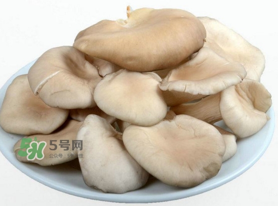 秀珍菇孕婦可以吃嗎？孕婦能吃秀珍菇嗎