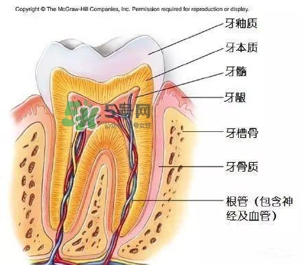 regenerate牙膏多少錢？regenerate牙膏專柜價格