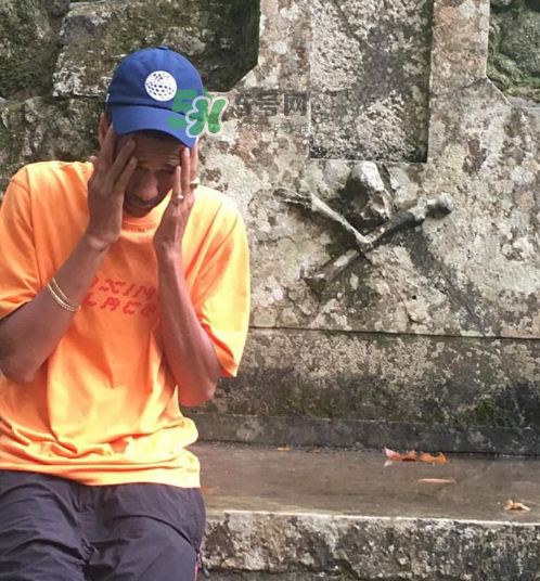 palace2017秋冬新款tri ferg tee什么樣_什么時候發(fā)售？