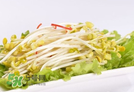 豆芽怎么保存？新鮮豆芽放冰箱能放幾天？