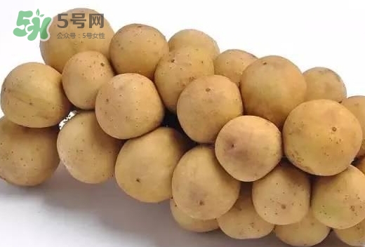 龍宮果多少錢一斤？龍功果價格表