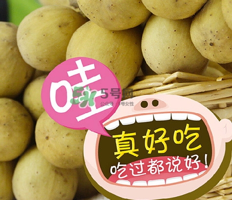 龍宮果多少錢一斤？龍功果價格表