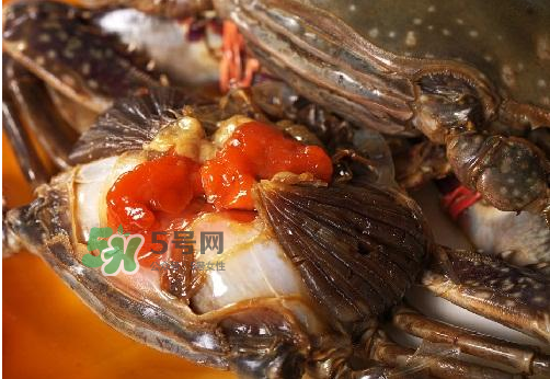 梭子蟹有蟹黃嗎？梭子蟹蟹黃在哪里？