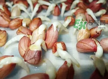 花生芽怎么培育？花生芽怎樣才能發(fā)出來(lái)
