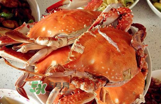 梭子蟹為什么沒有蟹黃？梭子蟹蟹黃能吃嗎？