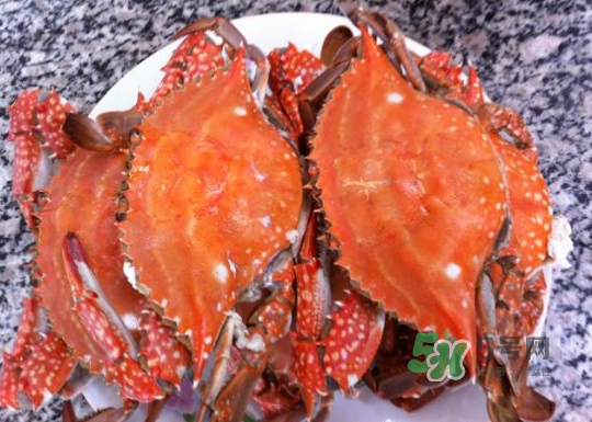 梭子蟹公的好還是母的好？?梭子蟹吃公的還是母的？