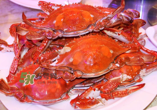 梭子蟹公的好還是母的好？?梭子蟹吃公的還是母的？