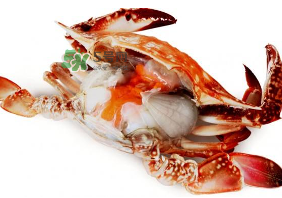 梭子蟹是寒性的嗎？梭子蟹哪些人不能吃？