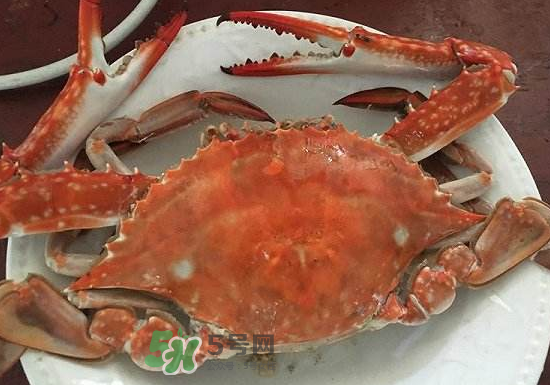 梭子蟹是寒性的嗎？梭子蟹哪些人不能吃？