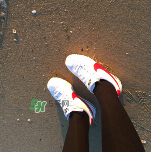 nike cortez jewel皮革版多少錢(qián)？耐克阿甘鞋皮革款價(jià)格