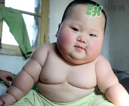 中國肥胖兒童最多 兒童肥胖如何預(yù)防？