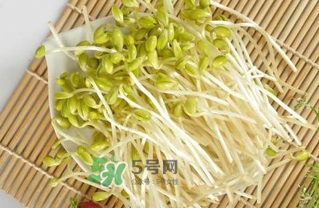豆芽有根好還是無根好？無根豆芽與有根豆芽區(qū)別