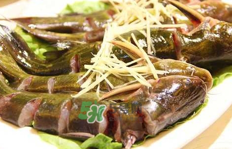 黃蜂魚怎么做好吃？黃蜂魚怎么釣