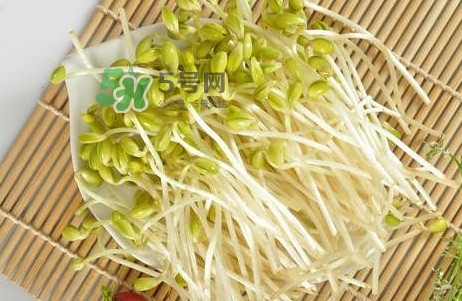 豆芽怎么保存？新鮮豆芽放冰箱能放幾天？