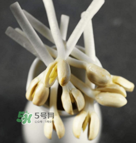 花生芽炒菜吃可以嗎？花生芽能吃嗎