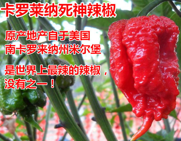 死神辣條多少錢一盒？死神辣條能吃嗎