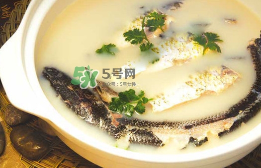 黃蜂魚怎么煮好吃？黃蜂魚燉湯孕婦可以喝嗎
