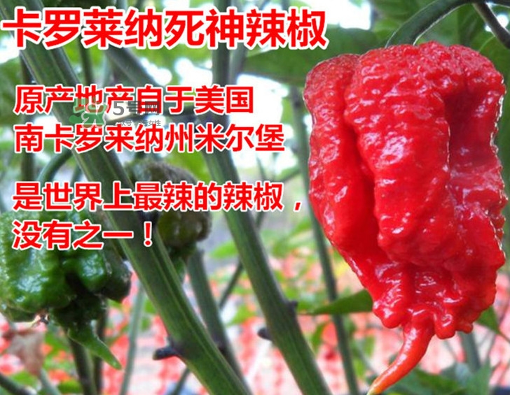 死神辣條哪兒有賣？哪里可以買到死神辣條