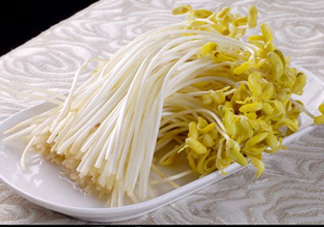 豆芽有綠葉還能吃嗎？豆芽有點爛了還能吃嗎