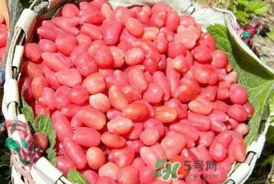 杈杷果多少錢一斤？杈杷果價格表