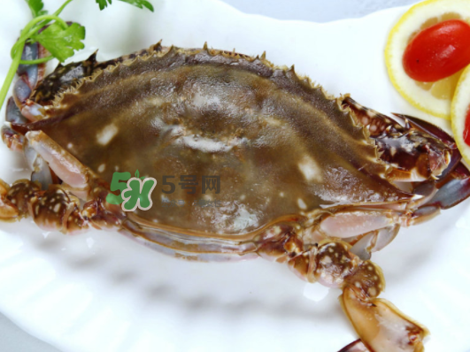 梭子蟹能放多久？梭子蟹能活多久？