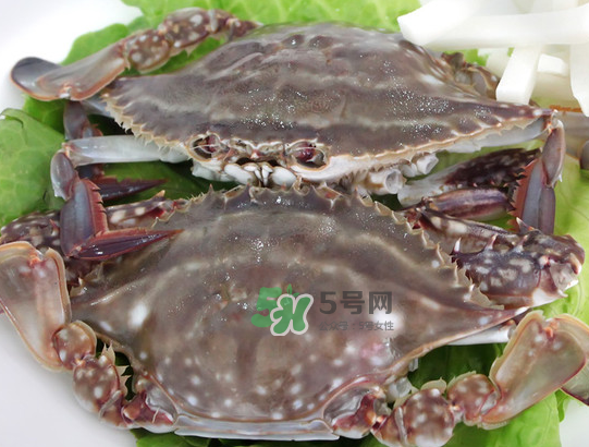 梭子蟹為什么這么貴？梭子蟹和大閘蟹哪個貴？