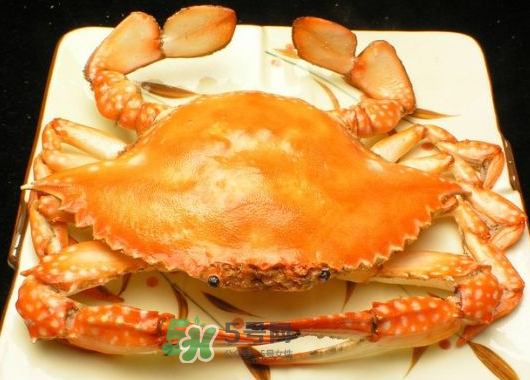 飛蟹什么時候最肥？飛蟹幾月份最肥？