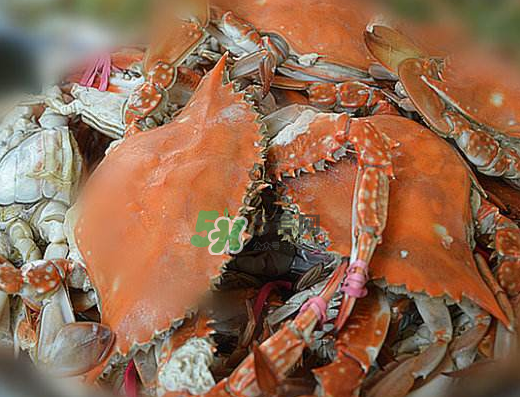 飛蟹不能和什么一起吃？飛蟹和什么不能一起吃？