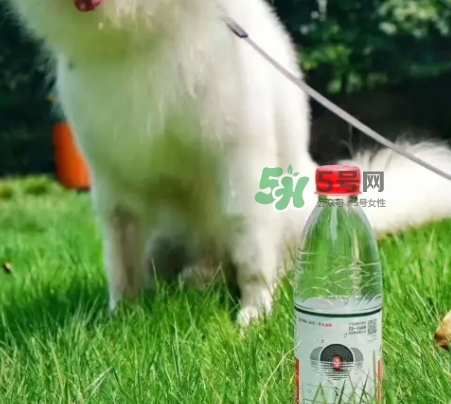 網(wǎng)易云音樂(lè)農(nóng)夫山泉樂(lè)瓶怎么玩？云音樂(lè)農(nóng)夫山泉玩法