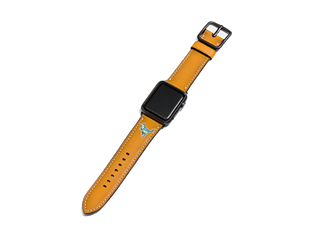 coach apple watch恐龍表帶多少錢？蔻馳蘋果手表恐龍表帶價格