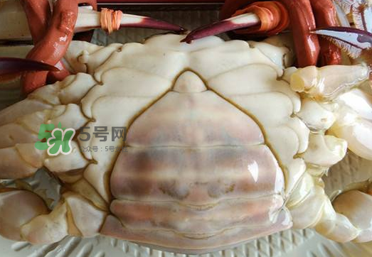 飛蟹多少錢一斤？飛蟹多少錢一斤2017？