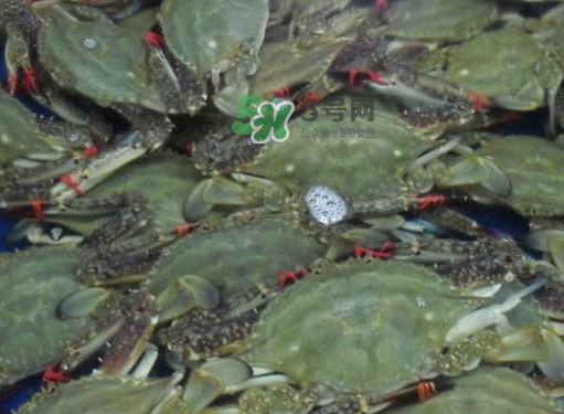 飛蟹可以冷凍嗎？飛蟹能冷凍保存嗎？