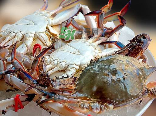 飛蟹可以冷凍嗎？飛蟹能冷凍保存嗎？