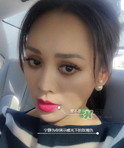 ysl208是什么顏色？ysl208適合黃皮嗎？