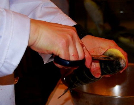 河豚魚怎么吃？河豚魚怎么去毒