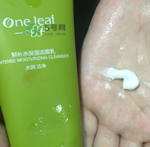 一葉子鮮補水洗面奶怎么樣？一葉子鮮補水潔面乳好用嗎？