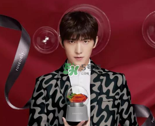 roseonly音樂盒多少錢？roseonly音樂盒歌曲名