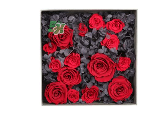roseonly永生花可以保存多久？roseonly永生花保養(yǎng)