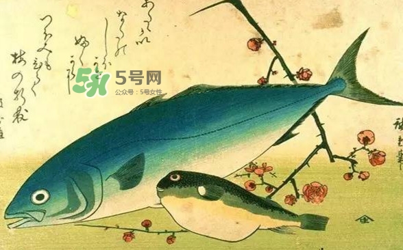 河鲀可以養(yǎng)嗎？河鲀有毒為什么還要吃