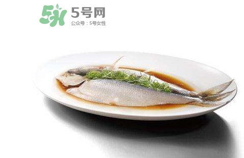 鰣魚還有嗎？長江鰣魚滅絕了嗎